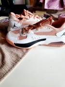 Nike Air Jordan 23 Enginereed 