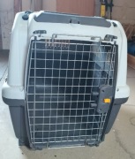 Kontener do przewozu psa