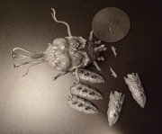 Warhammer 40k Tyranids - Tyrannocyte