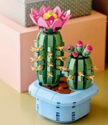 LEGO BOTANICALS Kwitnący kaktus   + GRATISY