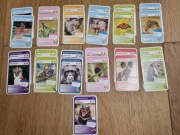 nr5 Karty Super Zwierzaki podwójne MEMO/PIOTRUŚ