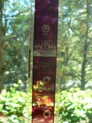 Bajka na rzutnik Gęsi Baby Jagi cz. II