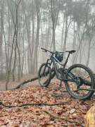 Rower Dartmoor Thunderbird CF Evo Carbon 2025 – rozmiar L