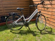 Rower Romet track 1
