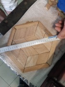 Parkiet Pałacowy - Mozaika z drzew Liściastych