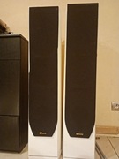 Davis Acoustics Stentaure LE – para kolumn | białe | doskonałe brzmienie