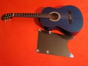 Podgitarnik do gitary .