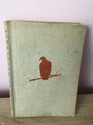 Walter hege  niemieckie ptaki drapieżne 1933 rok deutsche reich