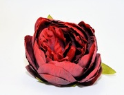 Ekskluzywna Główka Piwonii –Bordo– Premium DIY