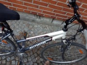 Rower Author Integra