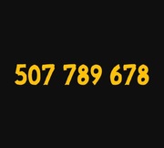 ZŁOTY PLATYNOWY NUMER 507 789 678