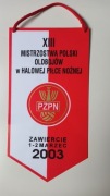Proporczyk - XIII MP Oldbojów w Halowej Piłce Nożnej - 2003