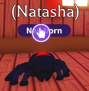 Black Widow! |NAJTANIEJ SZYBKO DUŻO POLECEŃ!|Adopt Me|Roblox