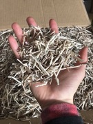 Wypełniacz do paczek wiórki orzech wełna drzewna