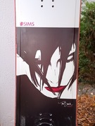 snowboard Sims Pro Model Tina Basich 154cm egzemplarz kolekcjonerski