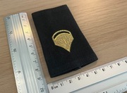 US Army - Shoulder Marks, Enlisted - Specialist 5 E-5 (SP2) - female