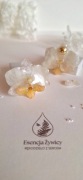 Kolczyki storczyk orchidea biała złote sztyfty- Esencja Żywicy 