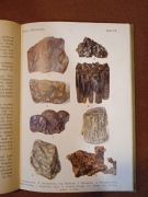 SKAŁY MINERAŁY CHEMIA 1910 6 tablic kolor i 126 rys. 144 strony
