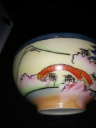 FILIZANKA PORCELANOWA