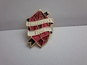 Przypinka Harry Potter kamień filozoficzny 