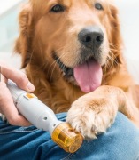 Elektryczny pilnik do pazurów dla psa kota InnovaGoods