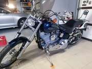 Harley Davidson softail bezwypadkowy