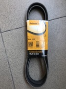 PASEK KLINOWY WIELOROWKOWY CONTINENTAL 