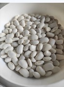 Fasola Biała Piękny Jaś  1 kg zbiór 2025r.