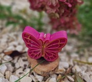 Świeca sojowa dekoracyjna MOTYL