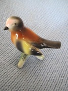 Cudowny, piękny ptak