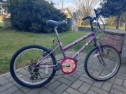 Rower rowerek dziewczęcy dla dziewczynki koła 20 cali przerzutki