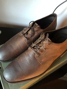 Timberland Windbucks Oxford brown 46