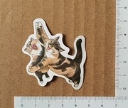Naklejka - scrapbook -  kot przed lustrem