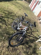 Rower mtb KROSS 24” aluminium tarcze