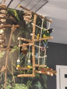 Zabawka dla papug własnoręcznie wykonane plac zabaw