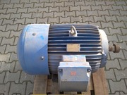 Silnik CELMA 55 kW