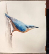 Kowalik obraz pastele 32x32 cm oryginał