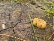 Naszyjnik ciastko , herbatnik z modeliny