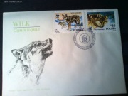 dwie koperty- Dzikie zwierzęta wilk chroniony