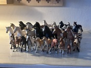 Figurki Schleich + akcesoria.