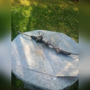 Maglownica opel astra h