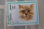 Znaczek pocztowy kot perski 