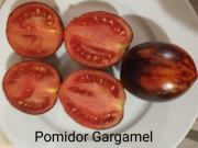 Pomidor Gargamel Nasiona 