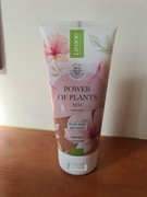 Peeling lirene do ciala nawilżający z różą damascenska