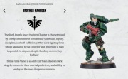 Warhammer 40k Space Marine Heroes Dark Angels (series 6) brother Nahrden