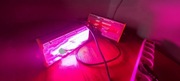 Panel LED GROW, mocna MeiSSA, lampa wzrost i uprawa roślin 200W 144D, #hps