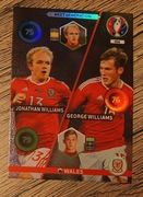 EURO 2016 Next Generation Walia nr 456