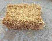 Słoma,KOSTKA ściółka do budy dla psa królika drobiu 8KG