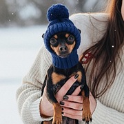 Granatowa czapeczka dla małego pieska lub kotka – wykonana na szydełku