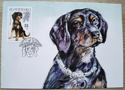 2007, Słowacja, maxikarta Michel 553-4, pies
